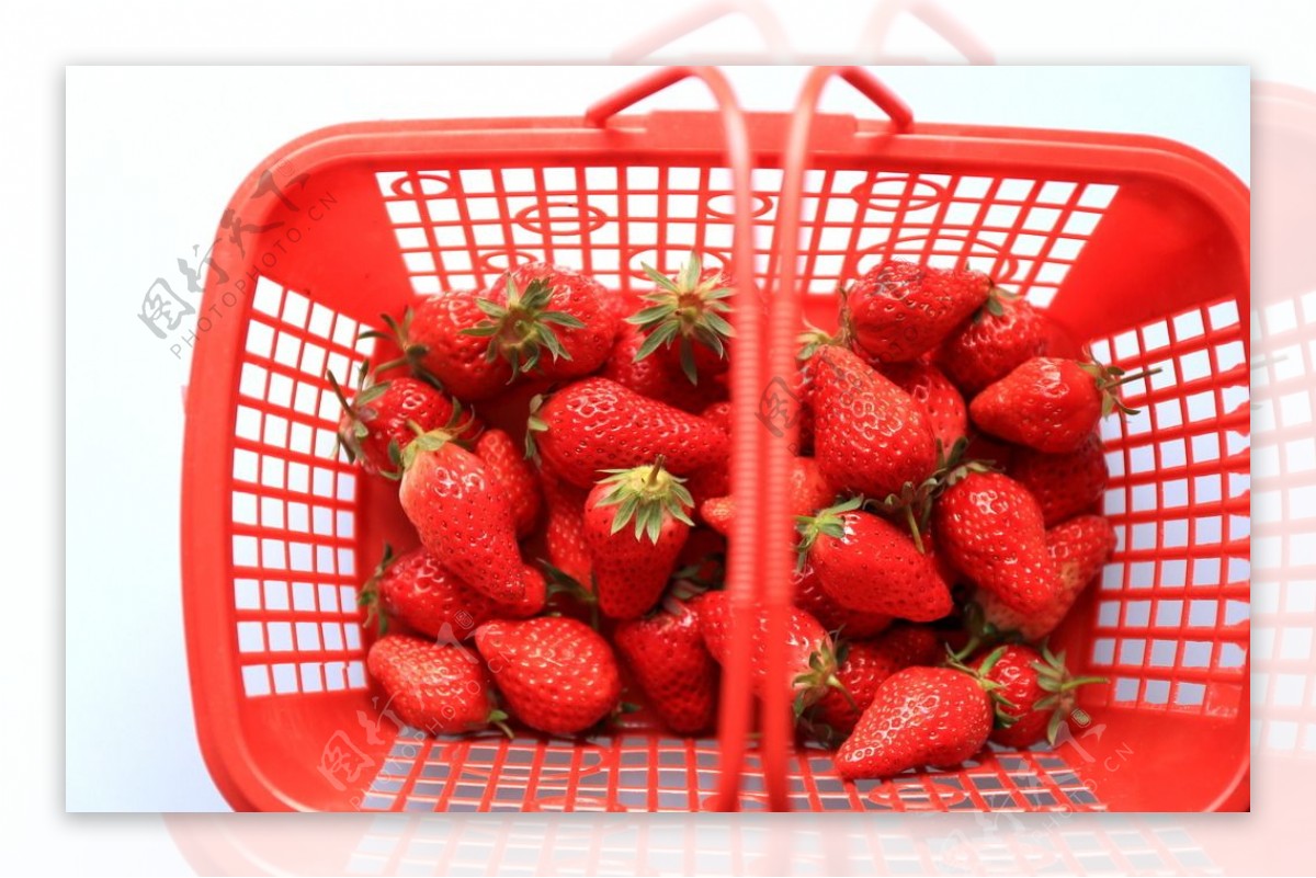 尼康180定周末摘草莓试拍-中关村在线摄影论坛