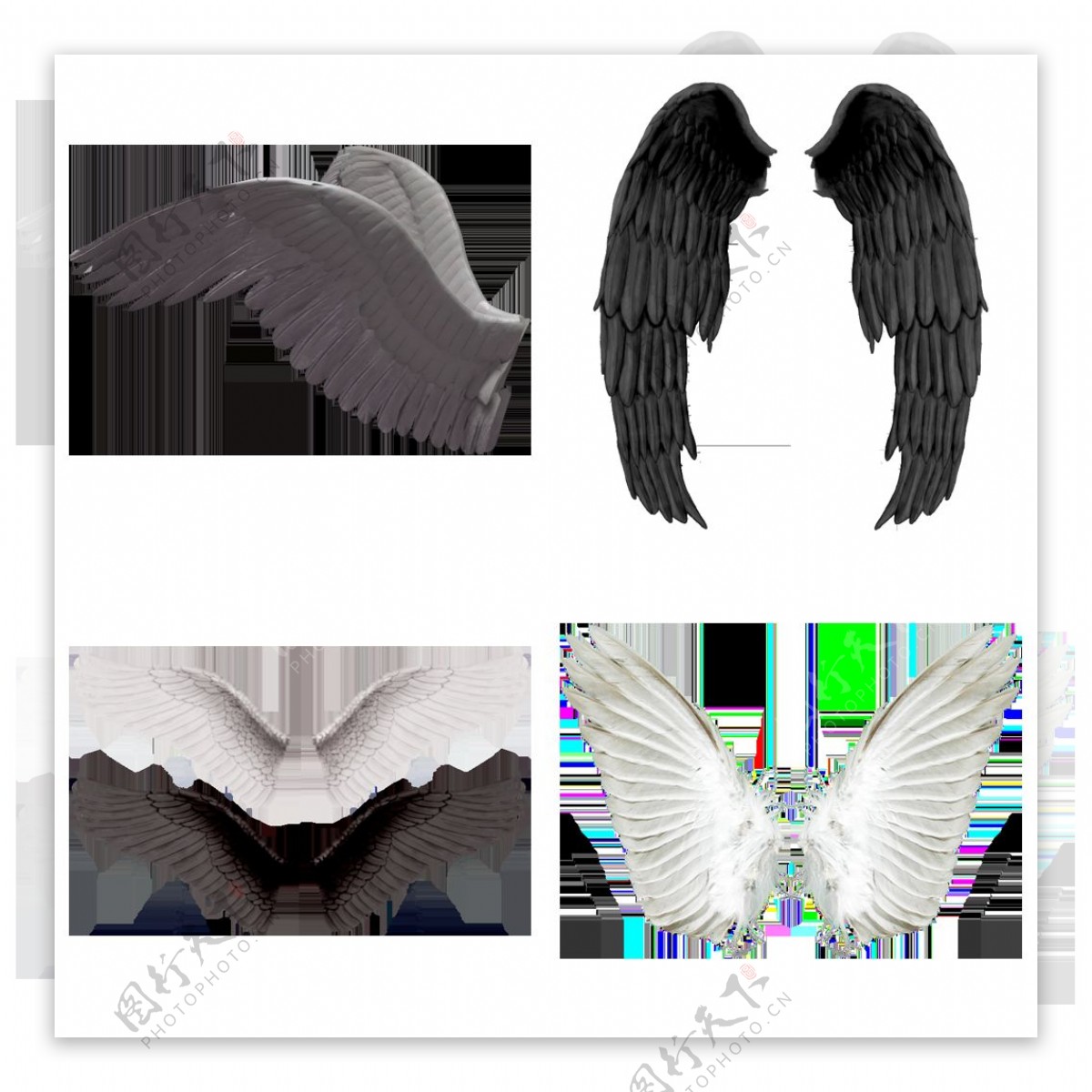 不同形状的翅膀免抠png透明图层素材