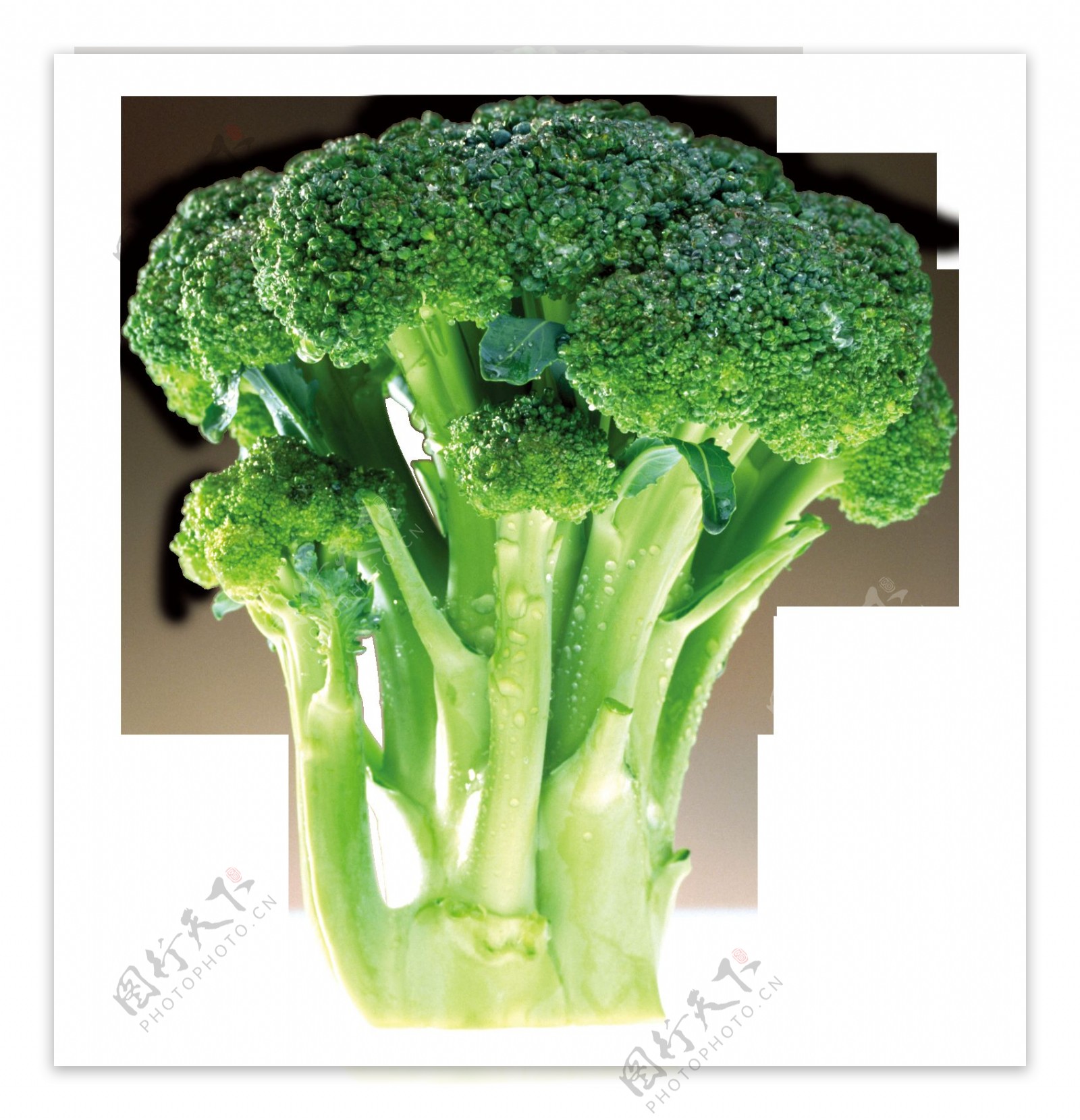 绿色蔬菜西兰花元素