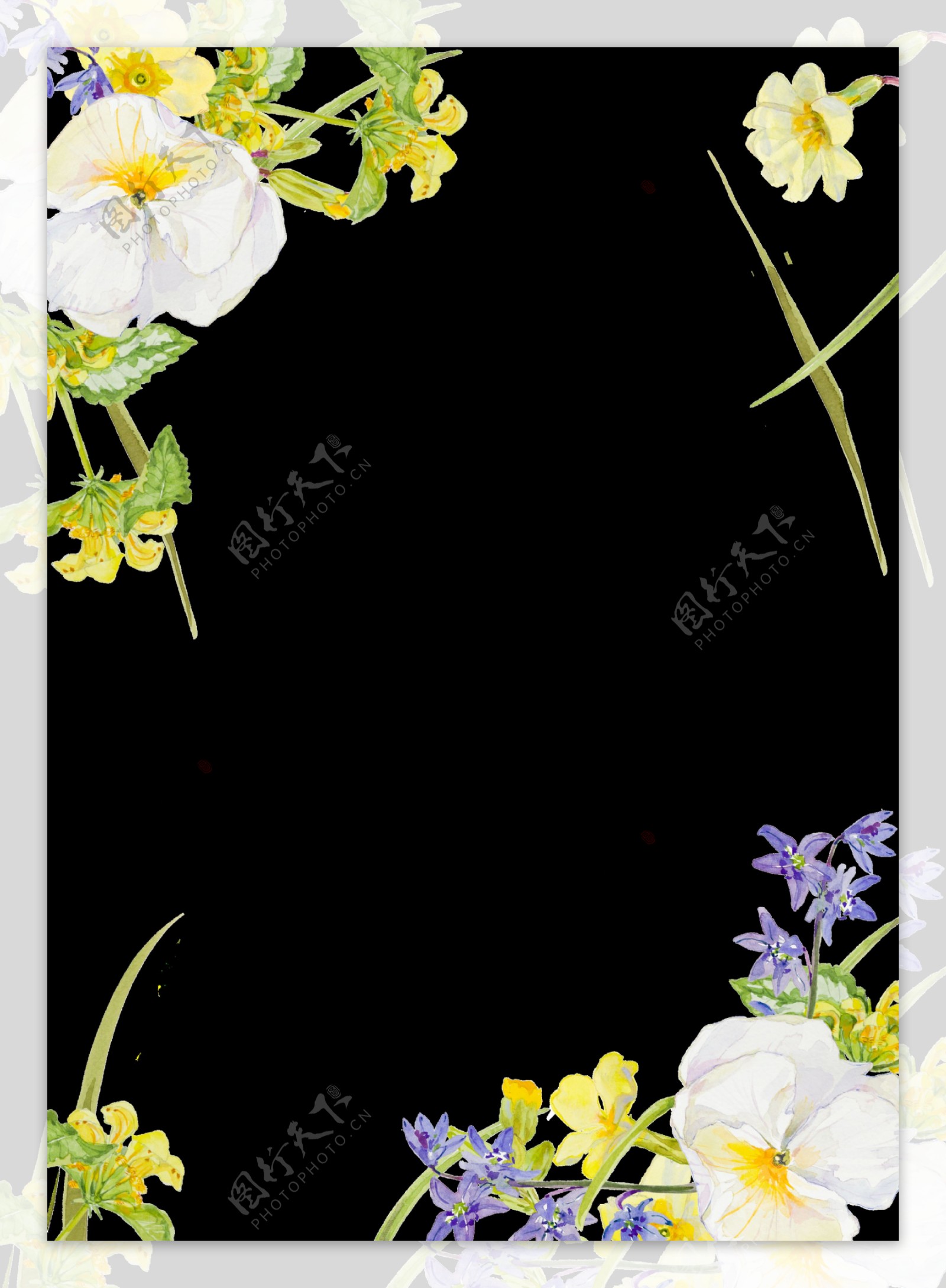 紫白色花朵植物水彩手绘透明素材