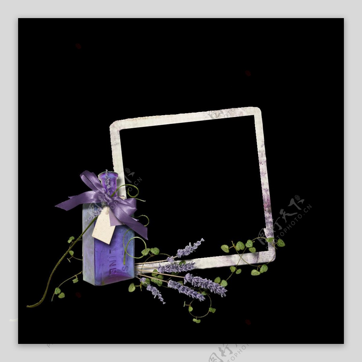 紫色花朵边框素材