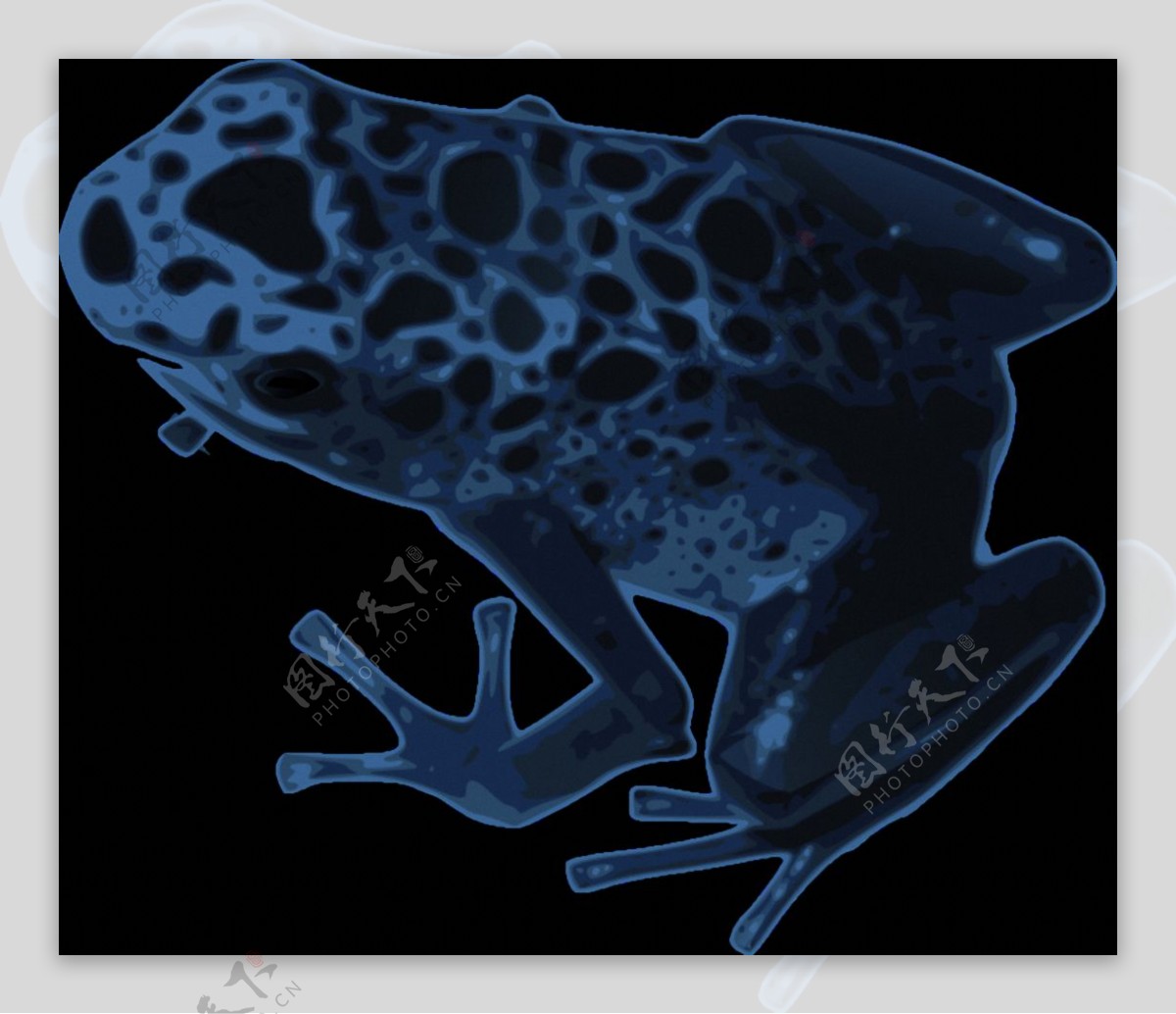 深蓝色黑斑青蛙免抠png透明素材