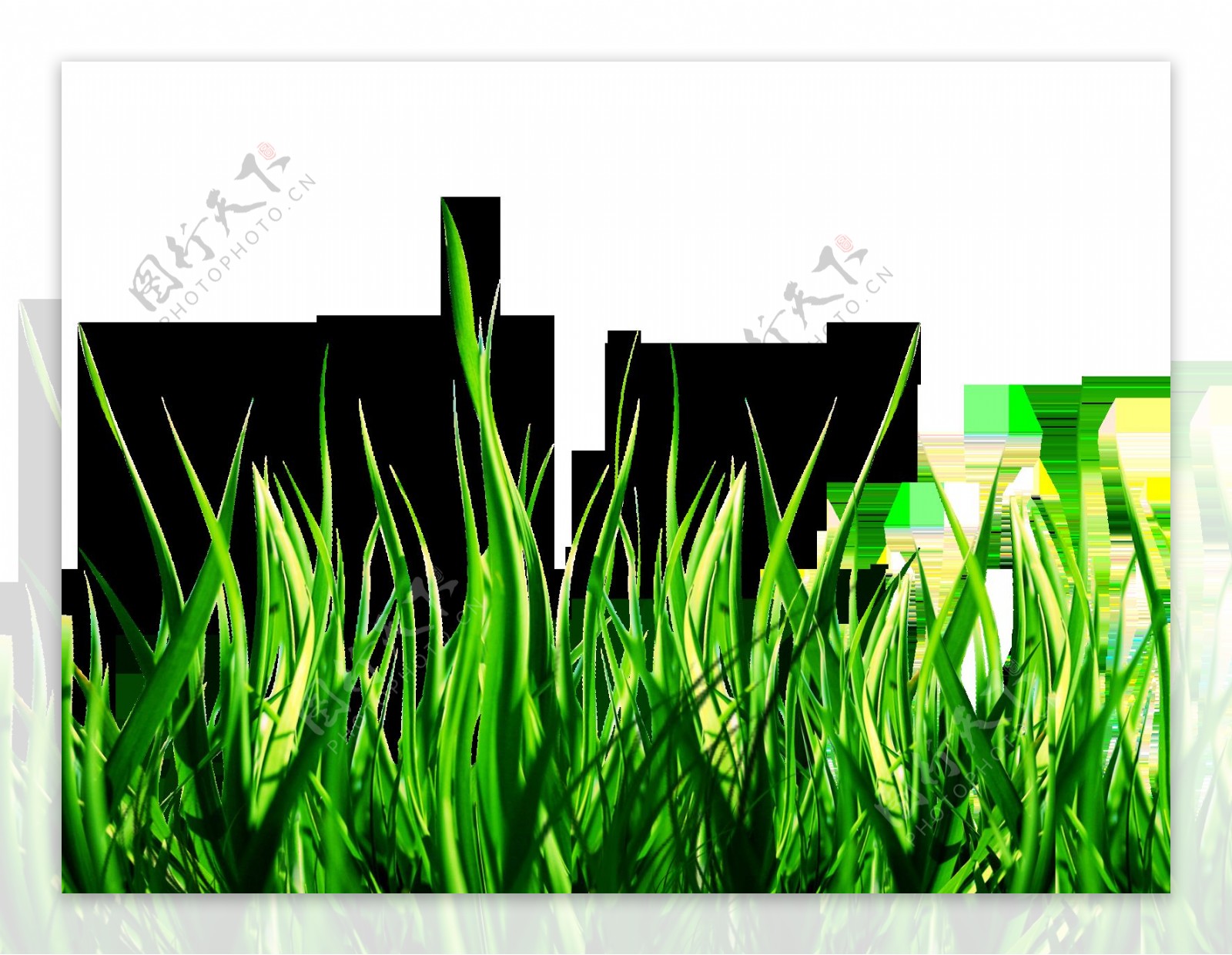 绿色自然草地免抠png透明图层素材