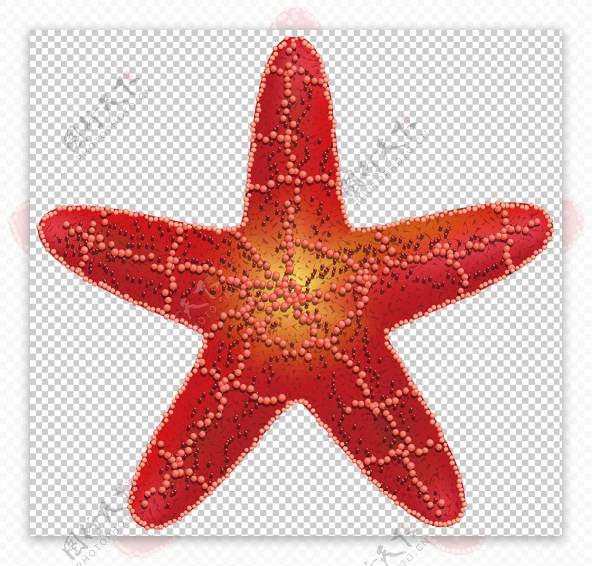 红色五角海星免抠png透明图层素材