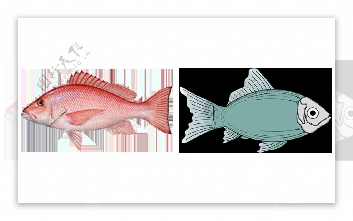 手绘漂亮的热带鱼免抠png透明图层素材