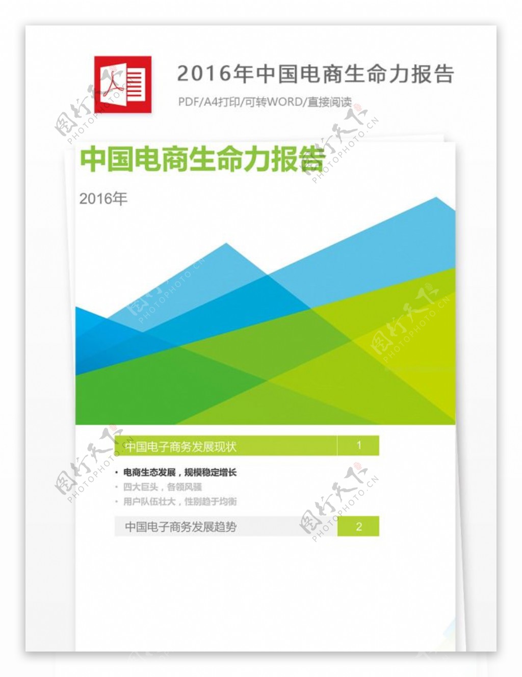 2016年中国电商生命力报告的公文格式