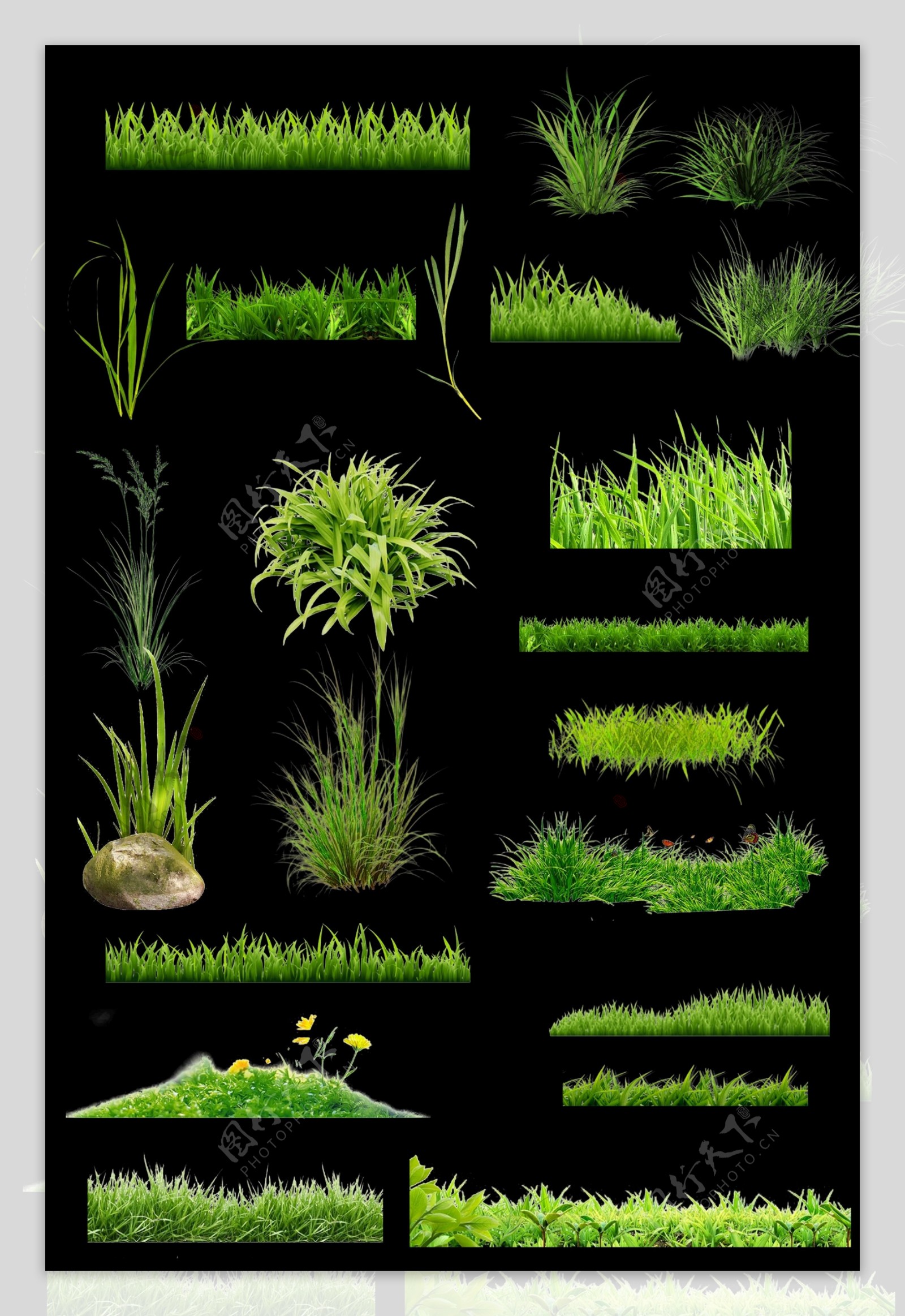 绿色草植物素材写实植物素材