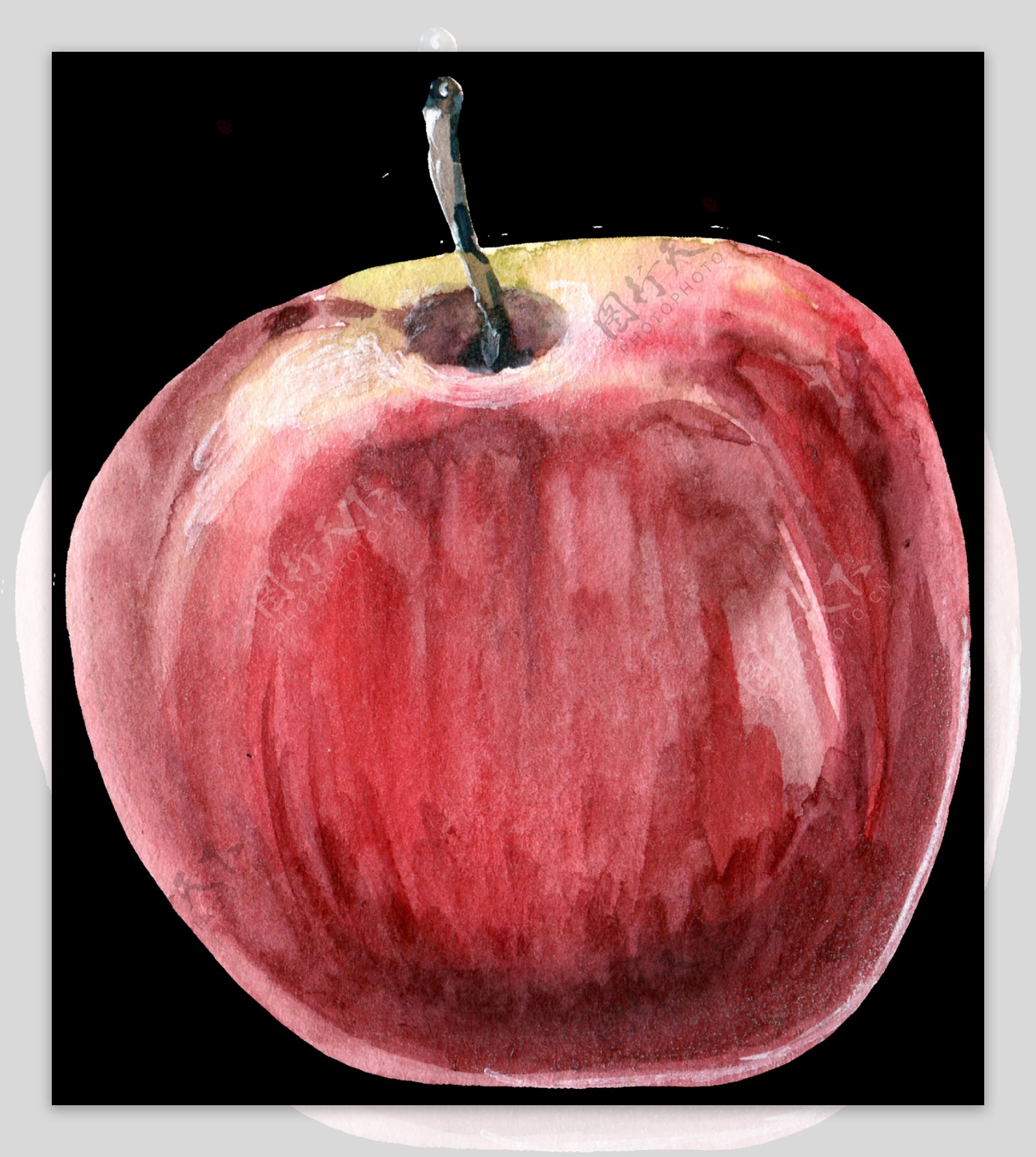 红苹果写生透明素材