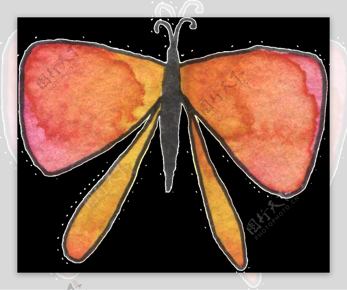 飞舞蝴蝶透明素材