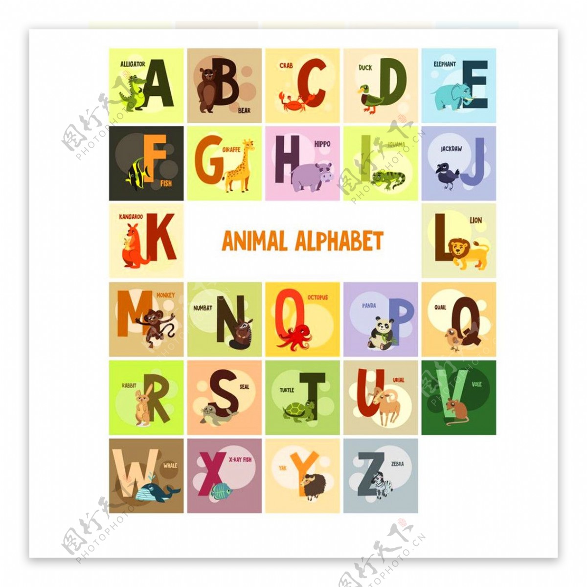 方形卡通动物字母字体图片