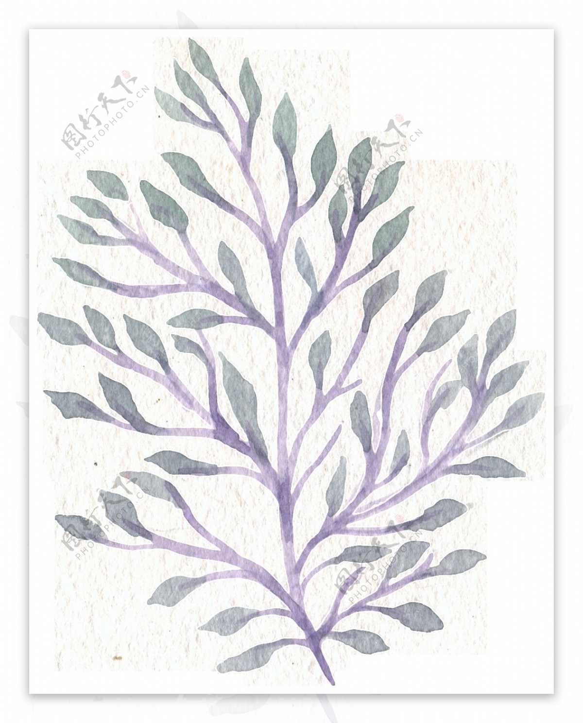 姹紫树枝卡通透明装饰素材