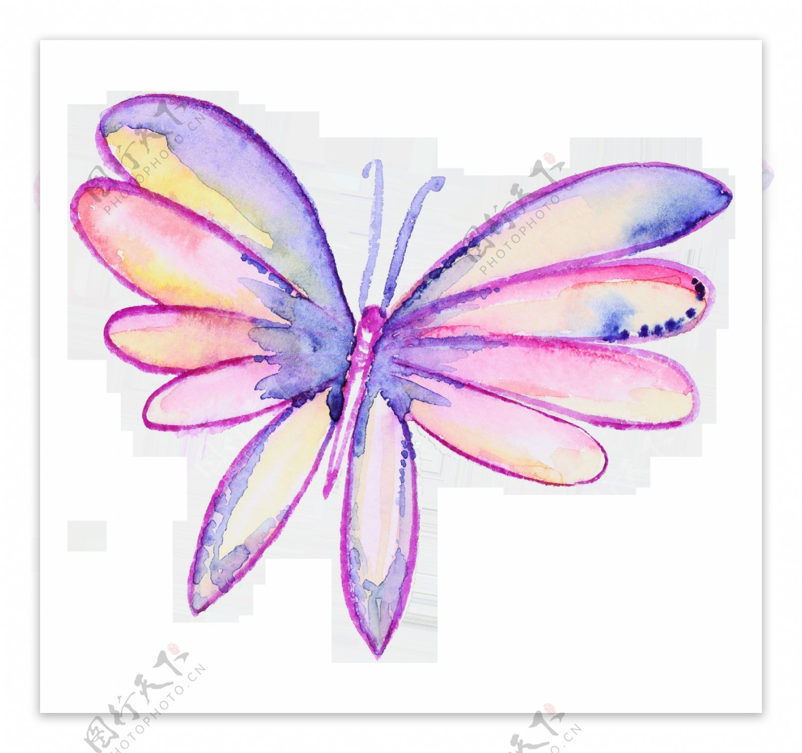 圆翅蝴蝶卡通透明装饰素材