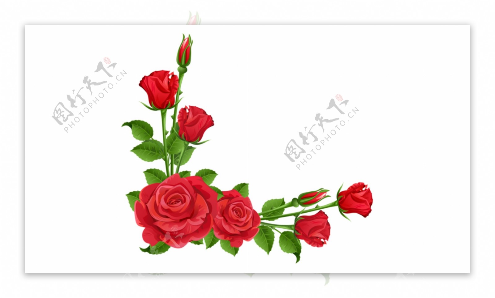 鲜花红玫瑰花卉边框免抠psd透明素材
