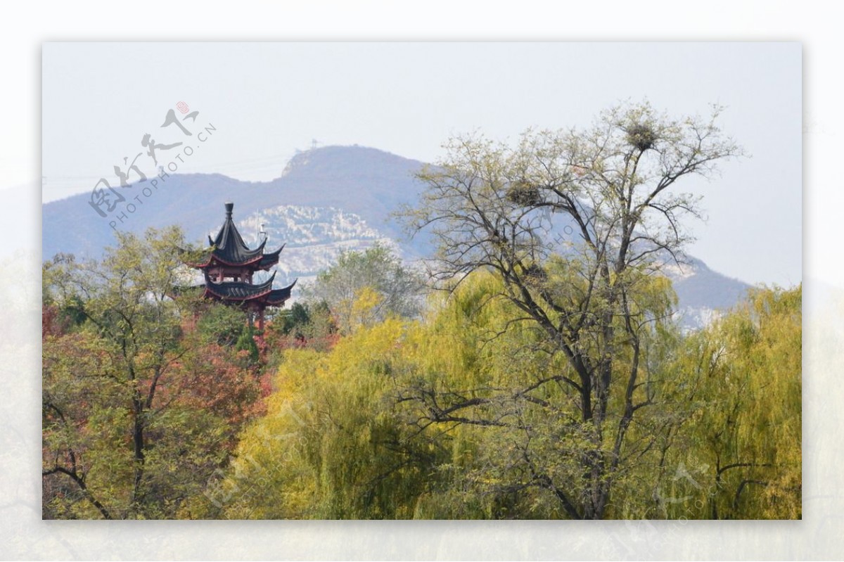 北宫彩叶风景