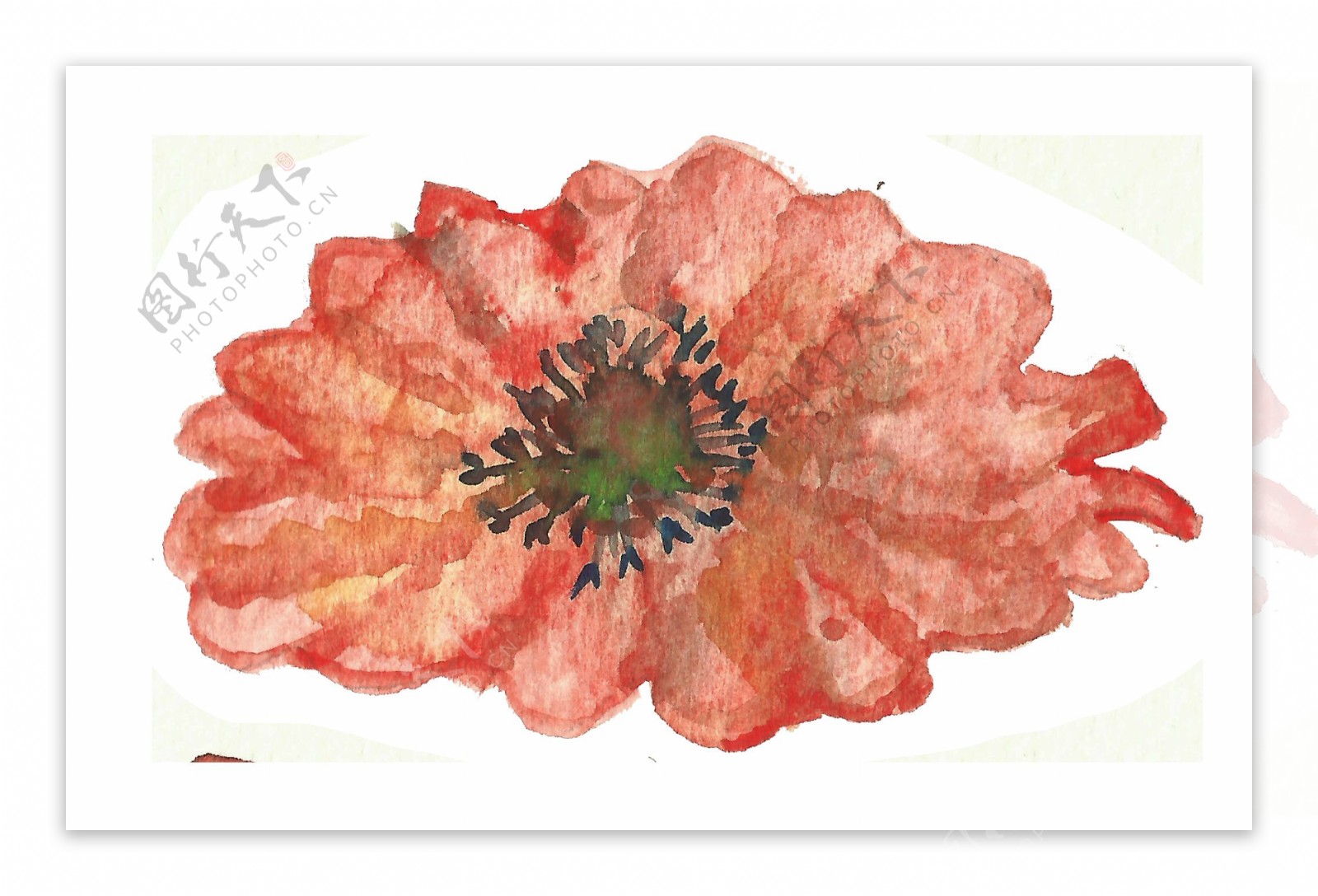 红色艳丽花卉卡通水彩透明素材
