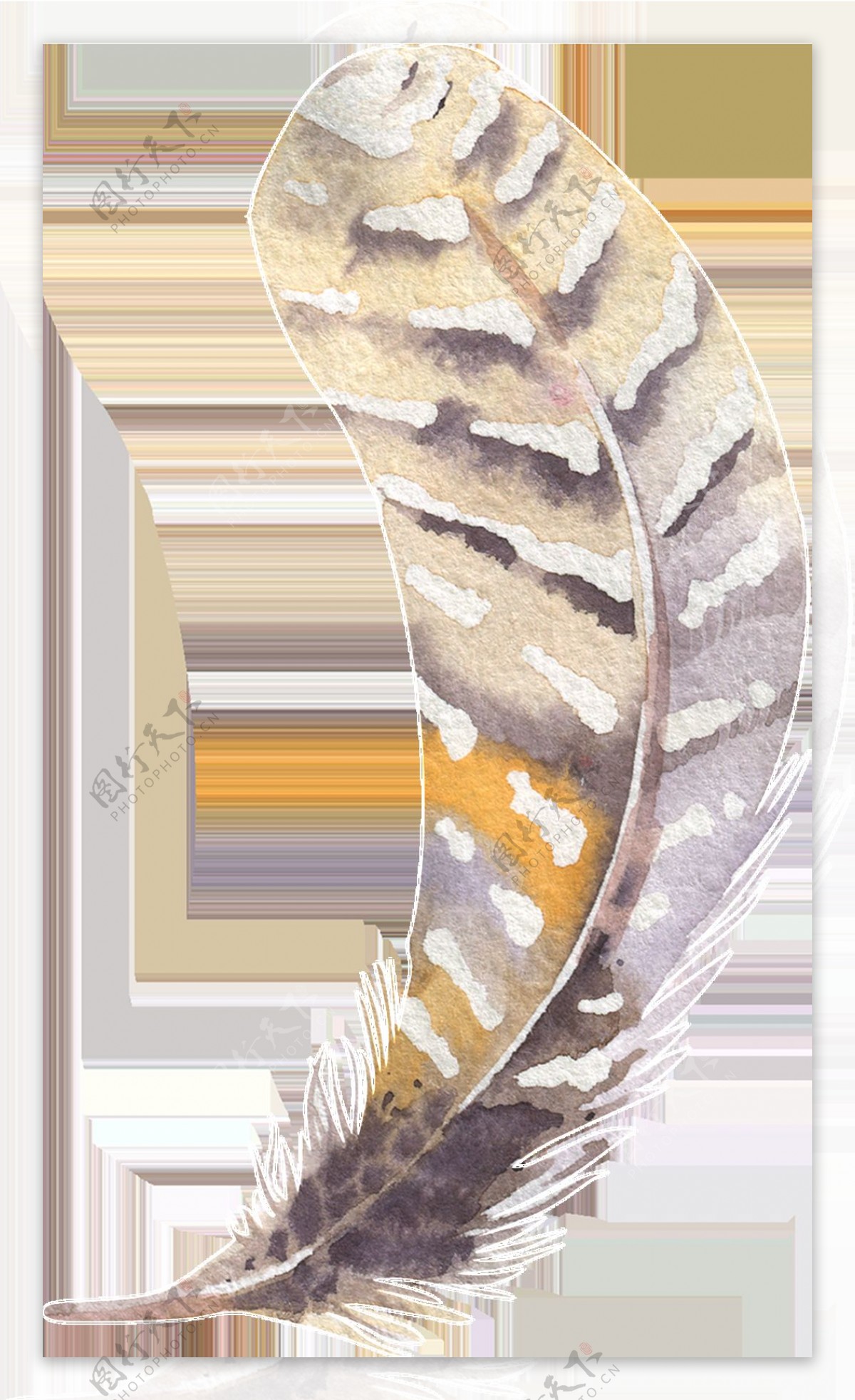 白斑羽毛卡通水彩透明素材