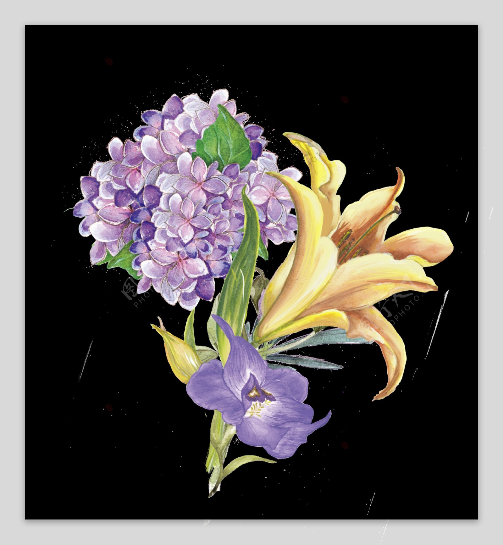 手绘三种美丽的花png透明素材