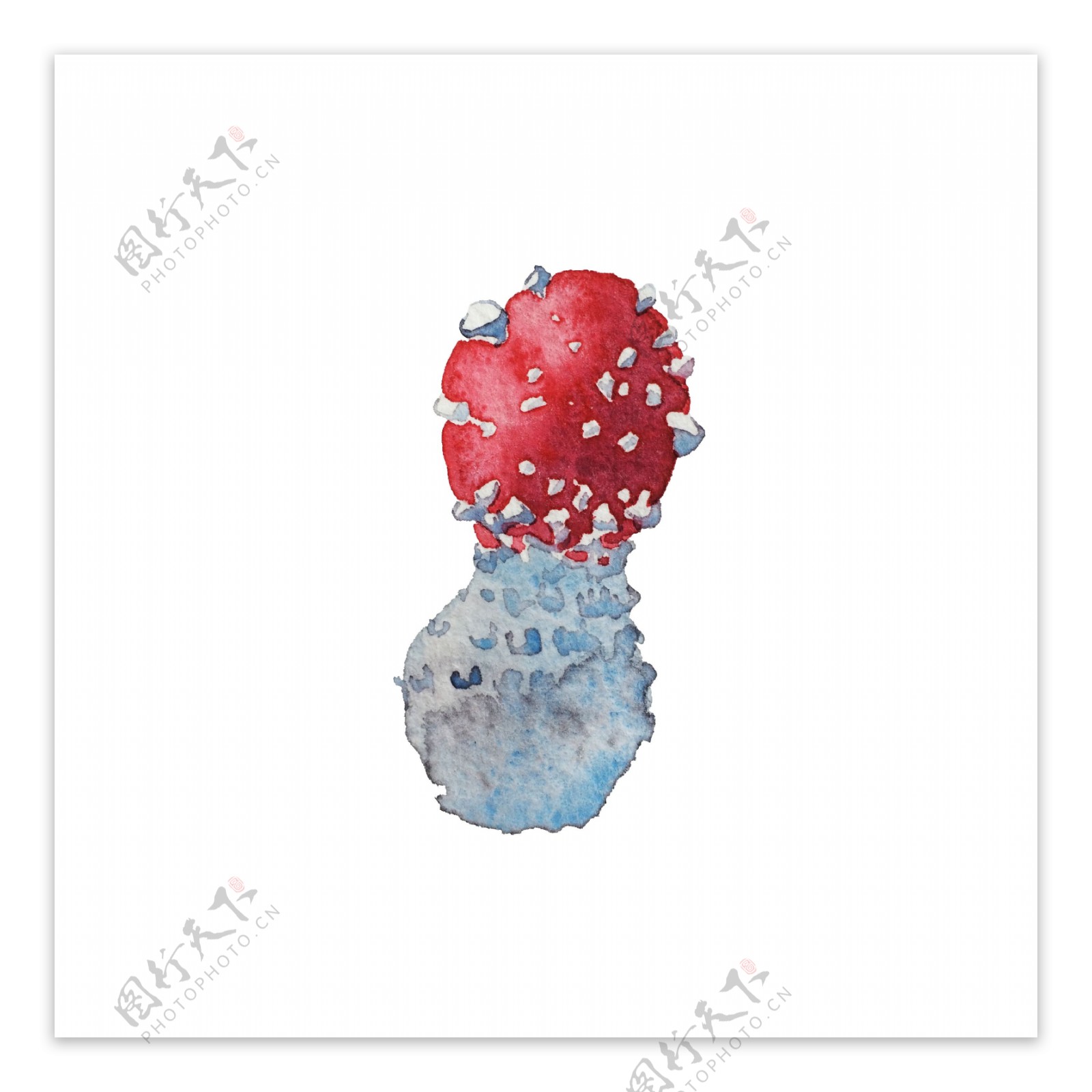 红肉花球卡通透明素材