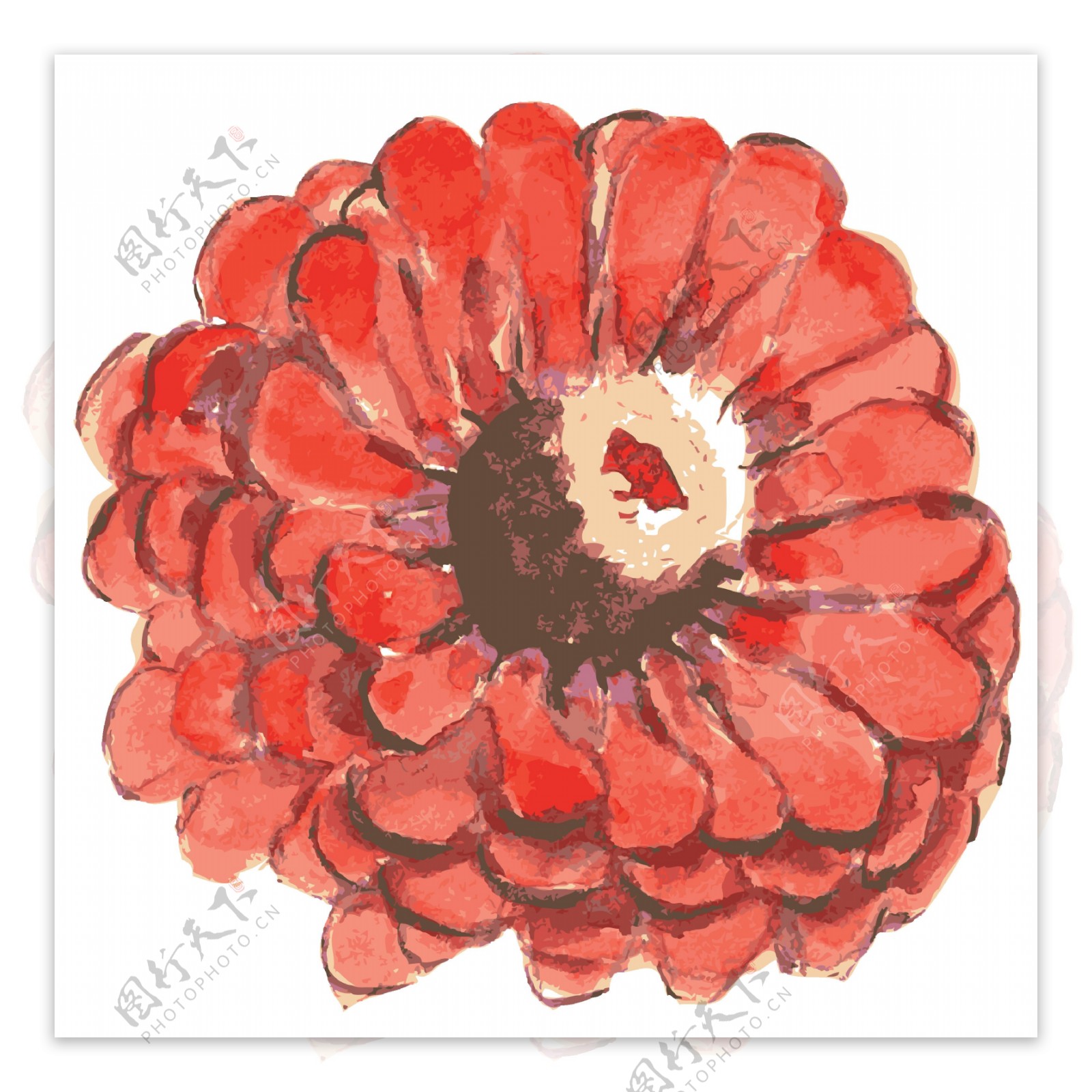 大红盛开花朵卡通透明素材
