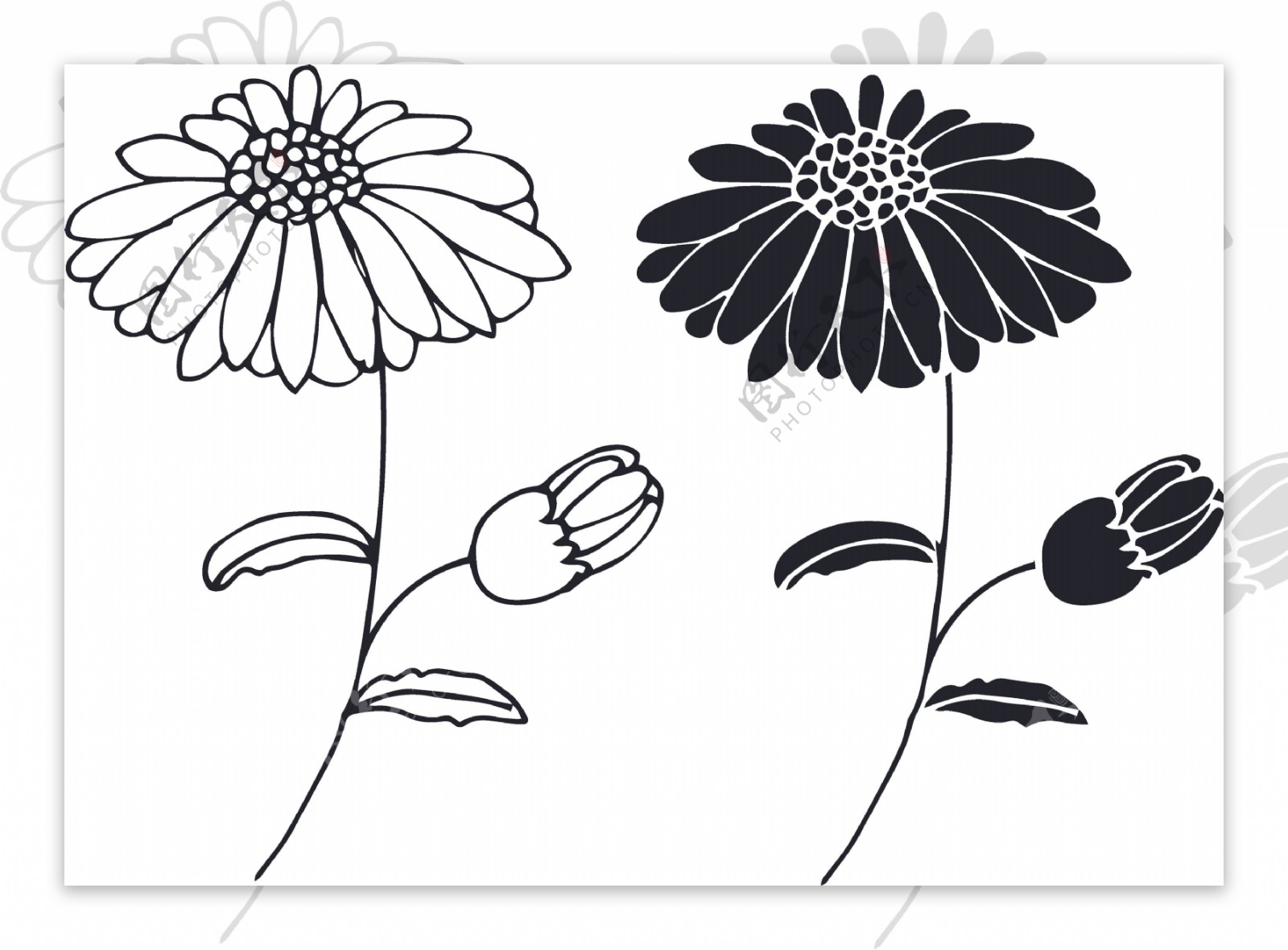 黑白花朵卡通透明素材