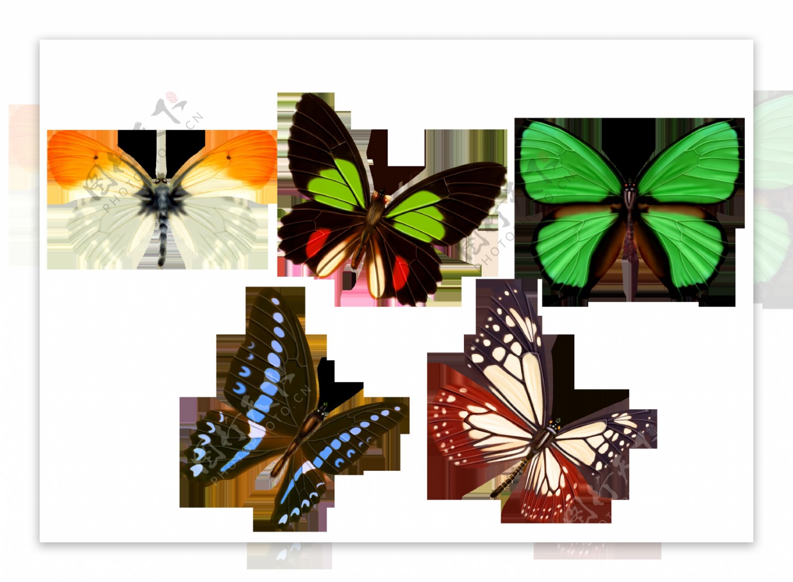 五款蝴蝶透明素材