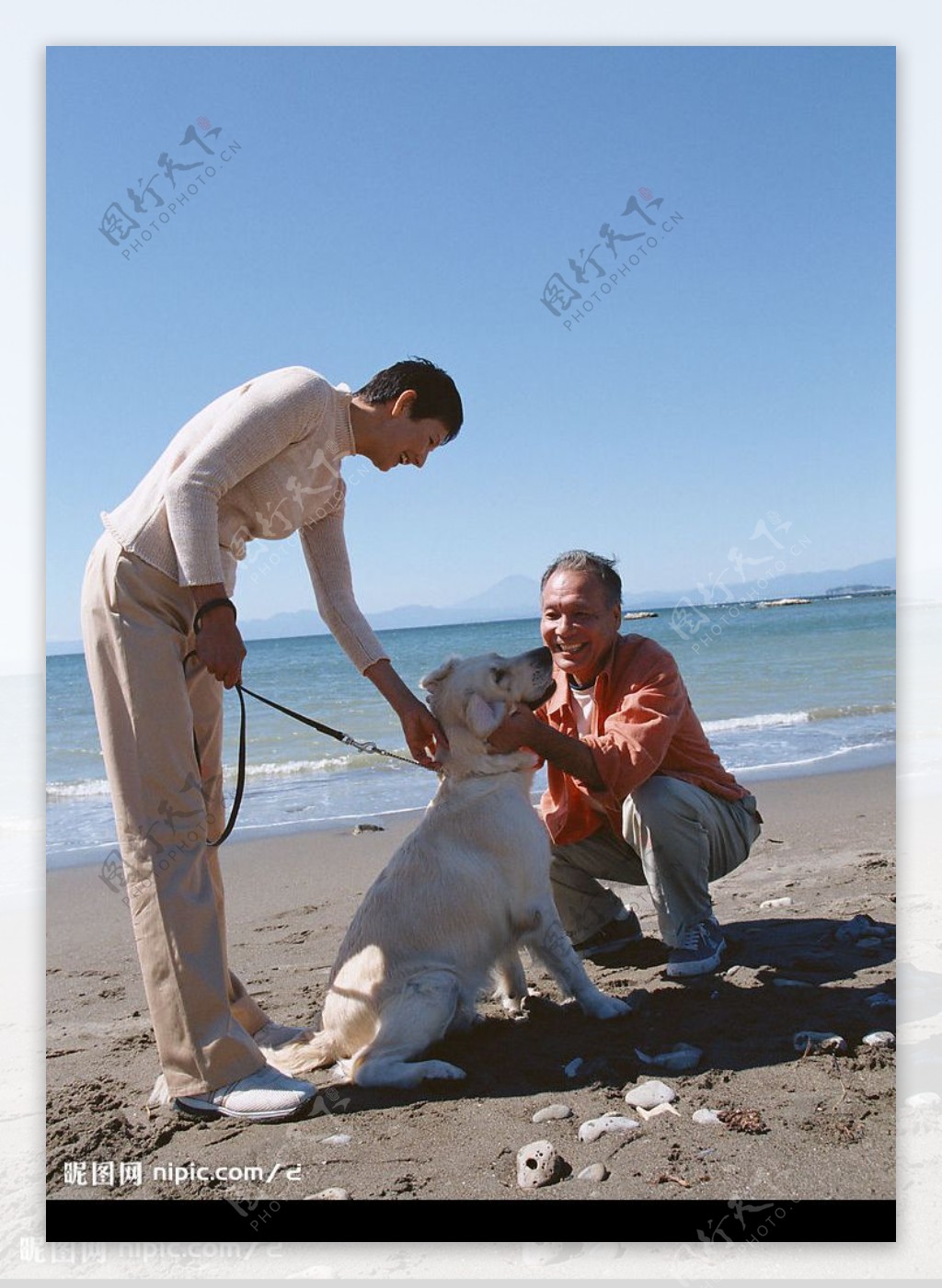 海滩老人和狗玩耍