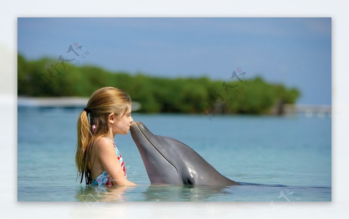 可爱动物海豚
