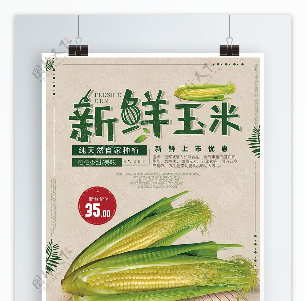 新鲜玉米白色促销美食海报
