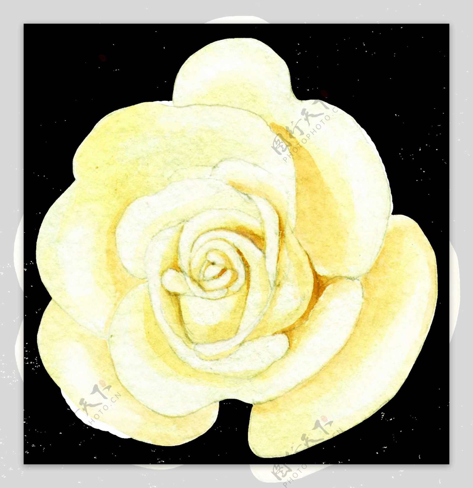 手绘玫瑰馒头透明素材png