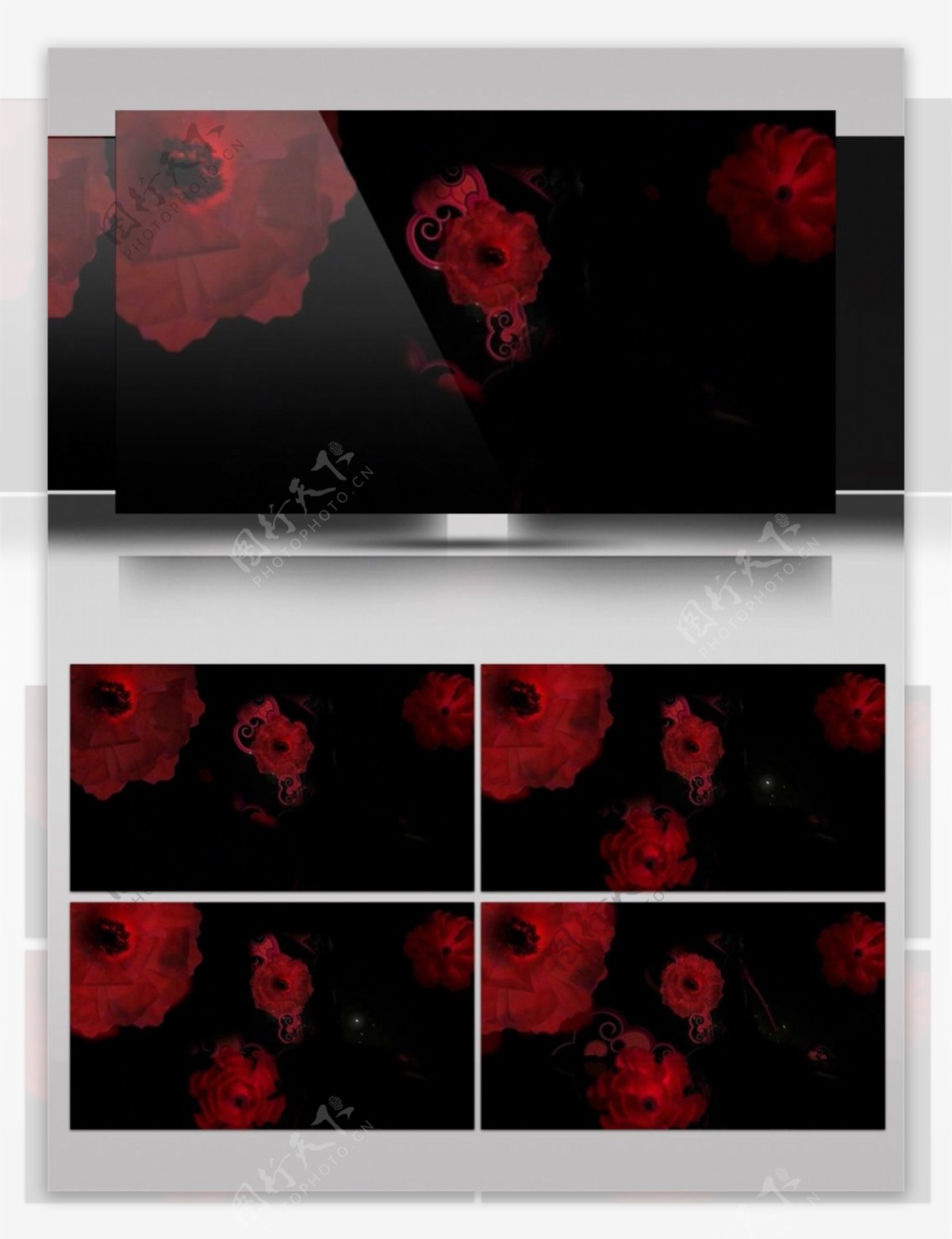 暗红花瓣高清视频素材