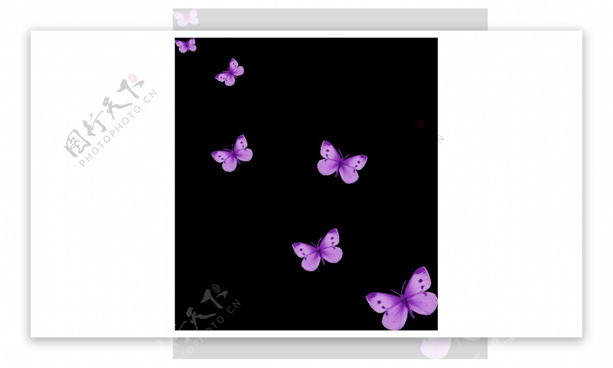 清新紫色蝴蝶元素