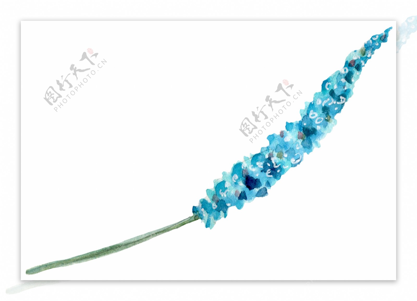 手绘一根蓝色植物PNG透明素材
