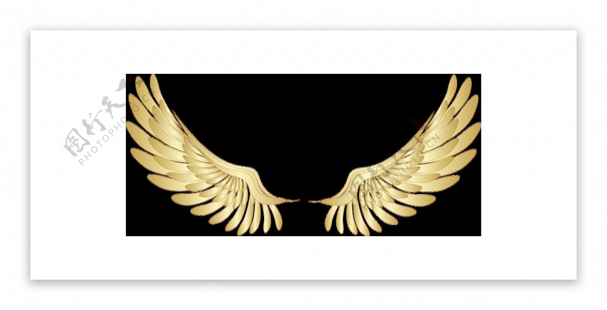 金色翅膀插画png元素