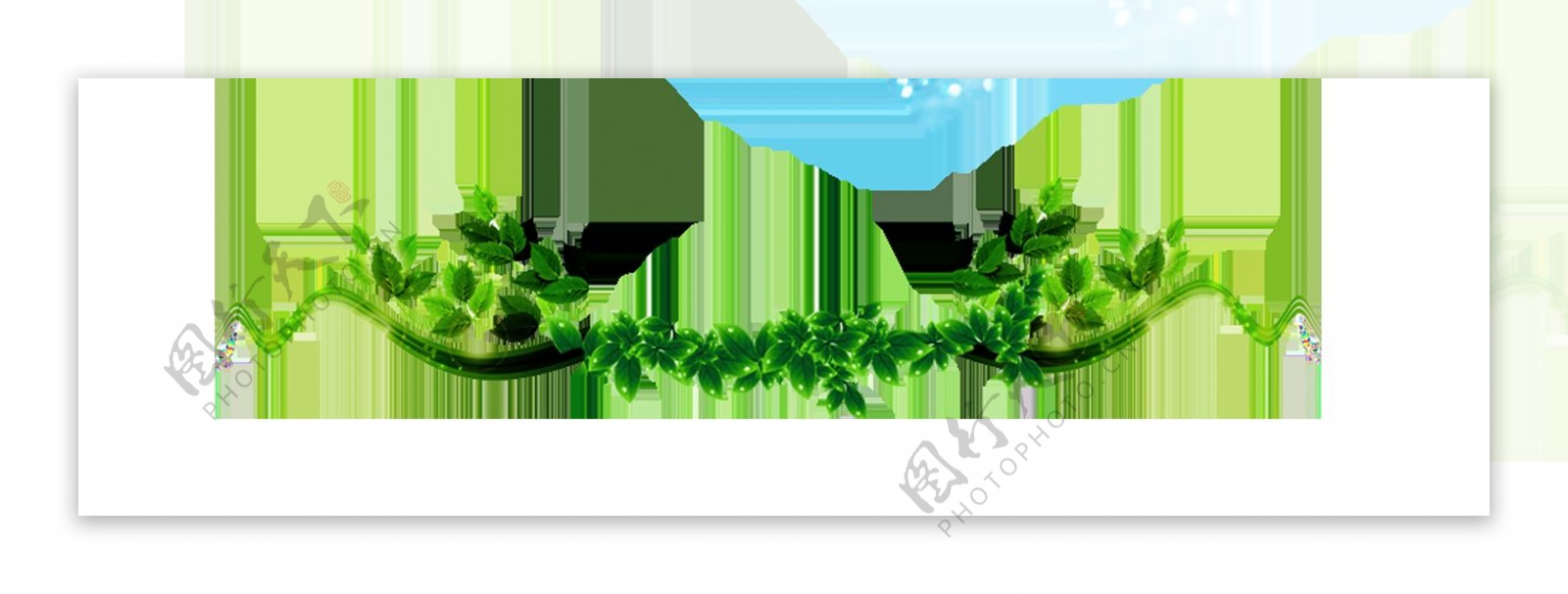 绿色树叶树藤边框png元素