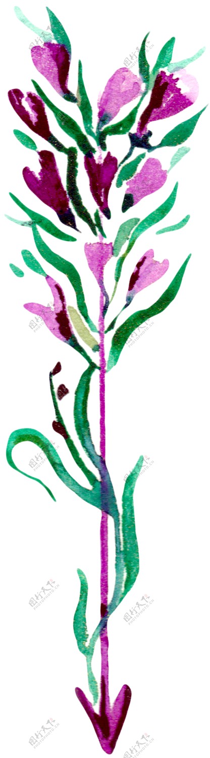 手绘彩色鲜花弓箭透明素材合集