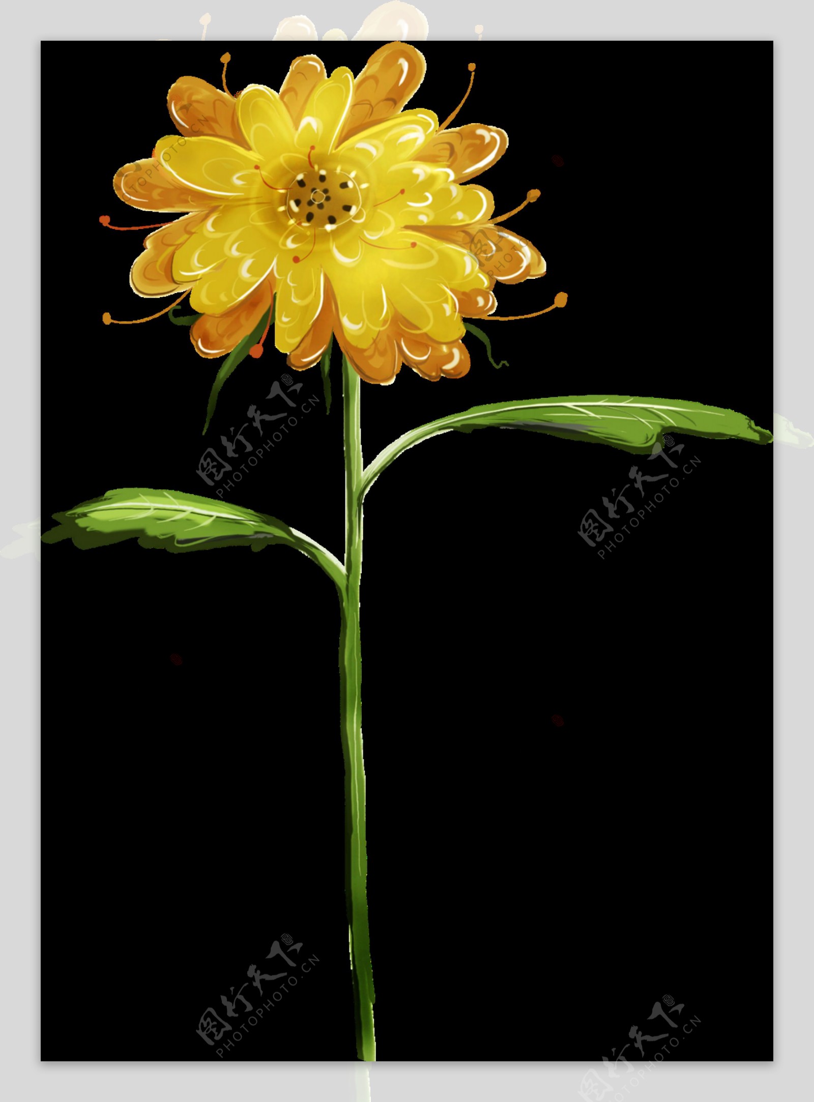 彩绘黄色手绘菊花装饰元素