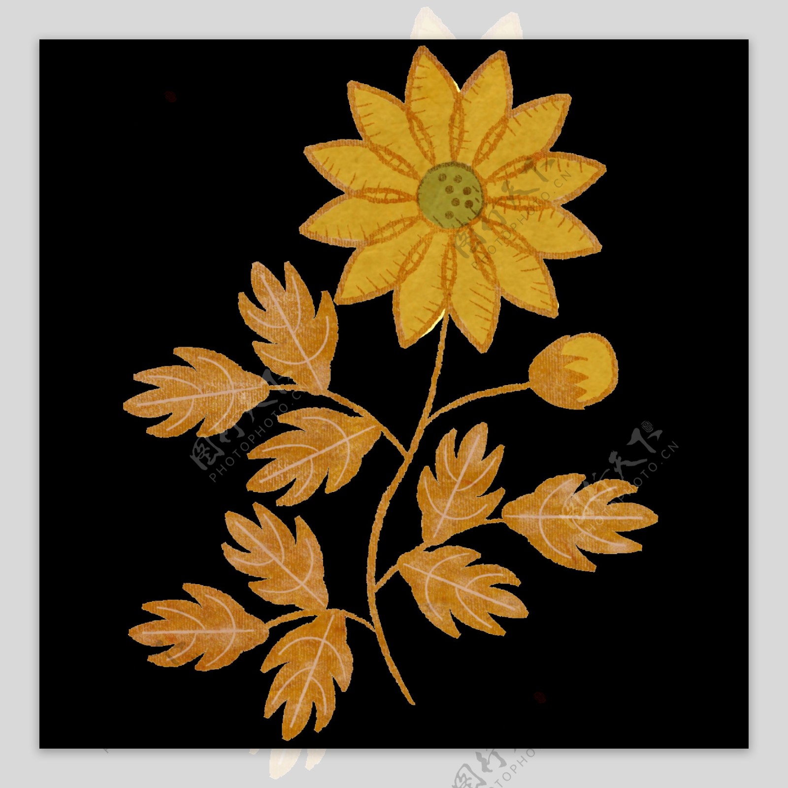 美丽土黄色花朵手绘菊花装饰元素