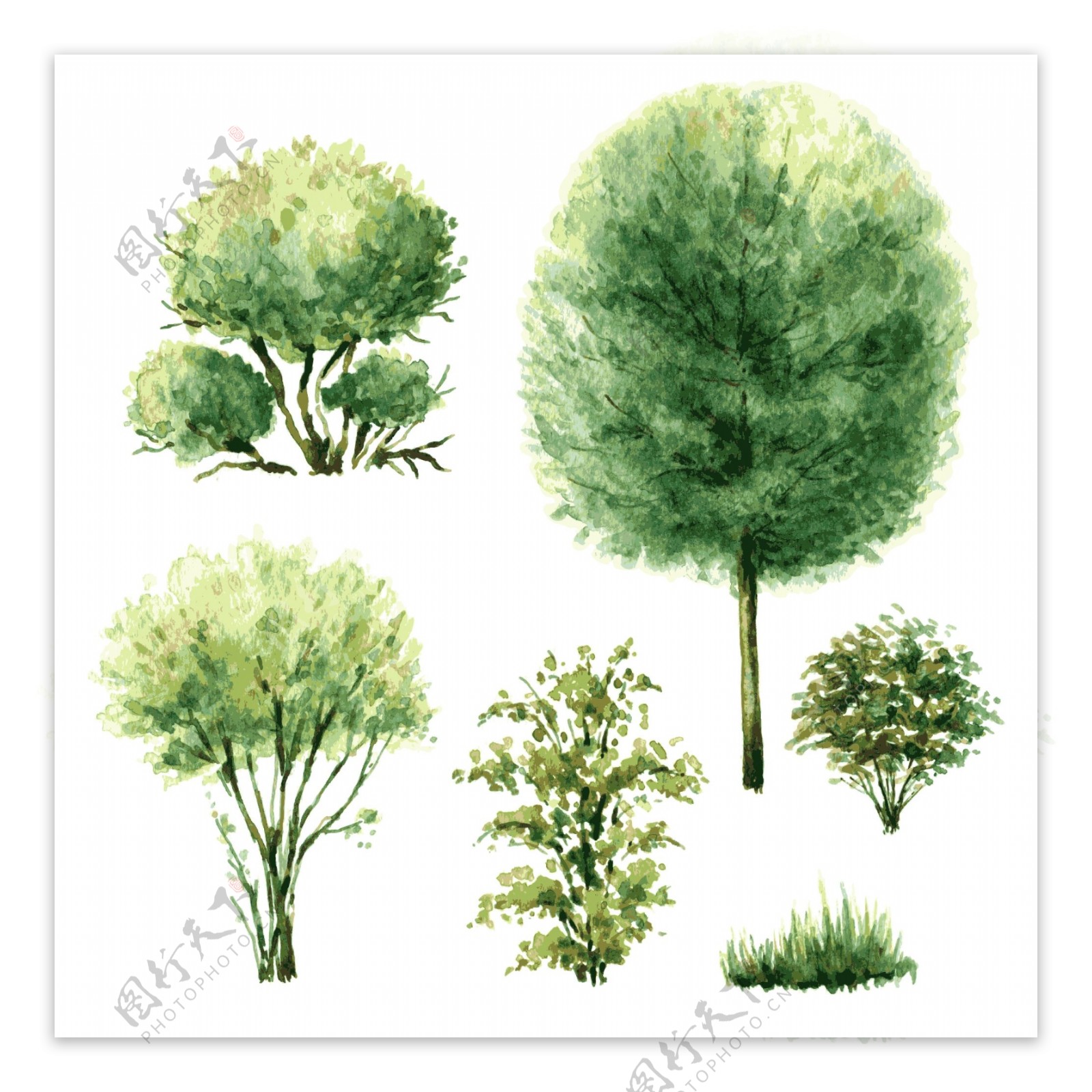 趣味水彩绘绿色大树插画