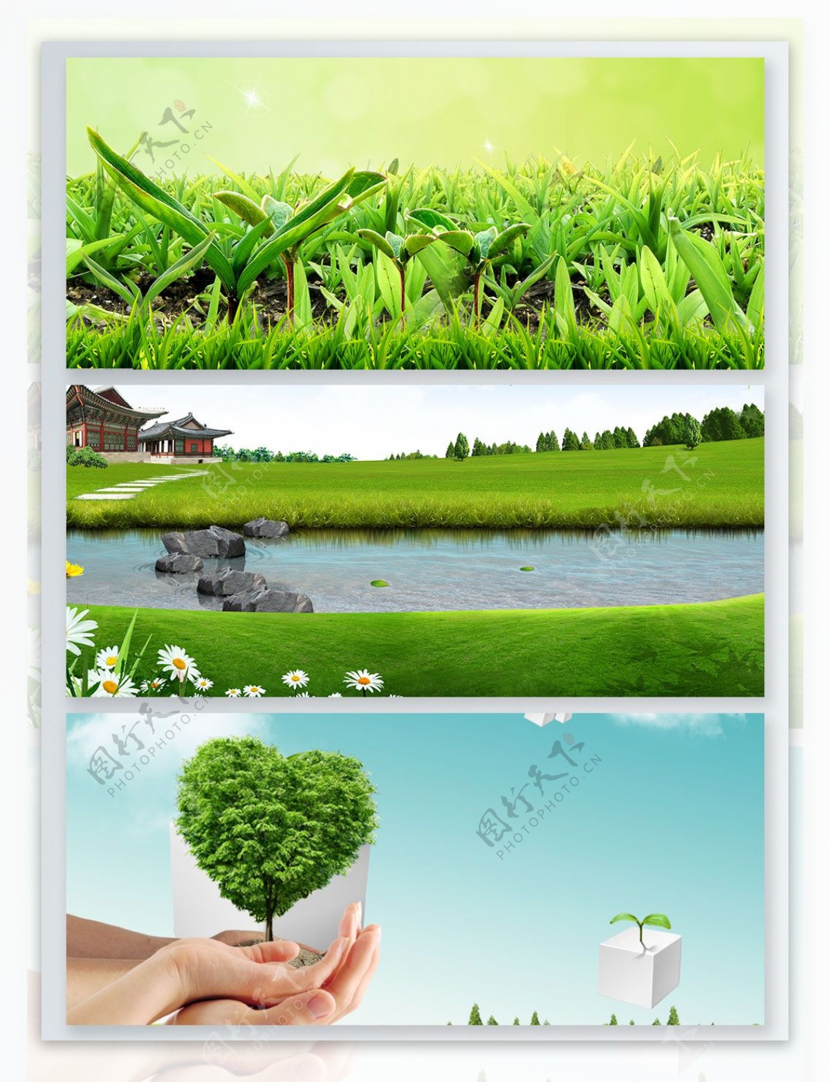 环境保护绿色小苗发芽展板背景