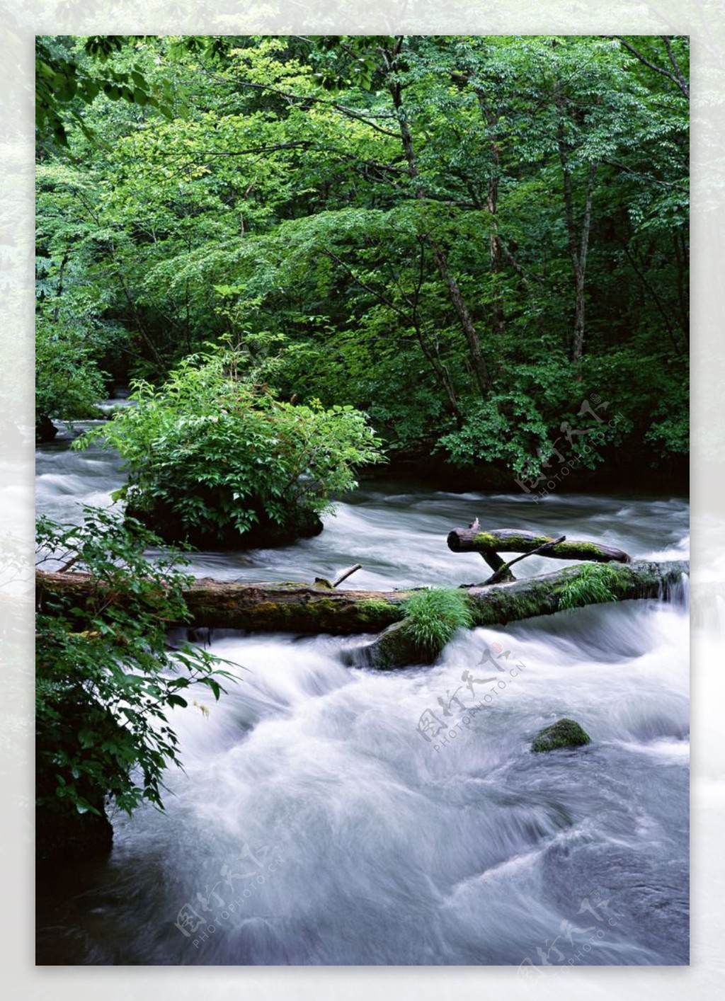 山涧小溪山涧溪流溪水河流