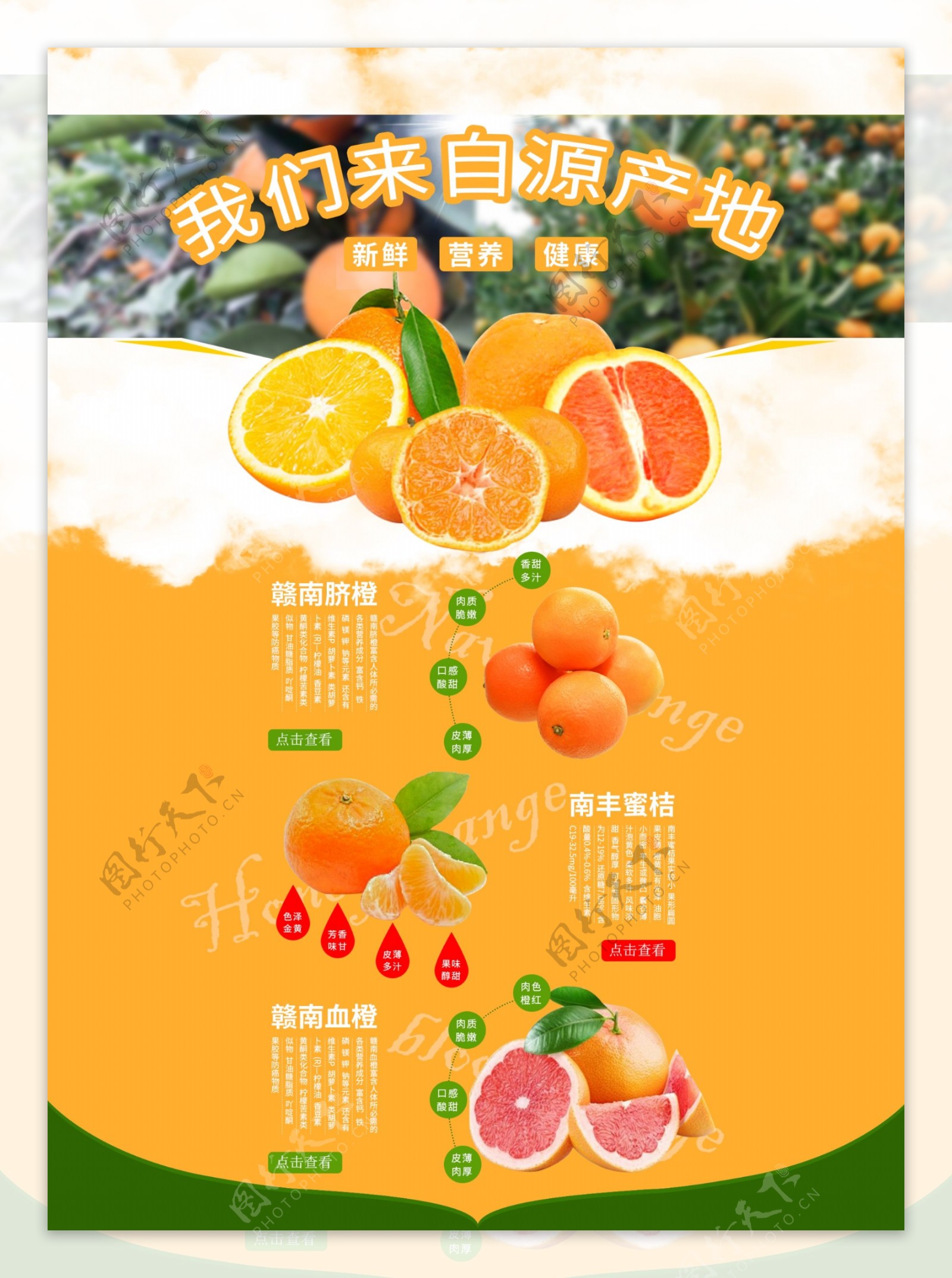 水果橙子淘宝首页模板