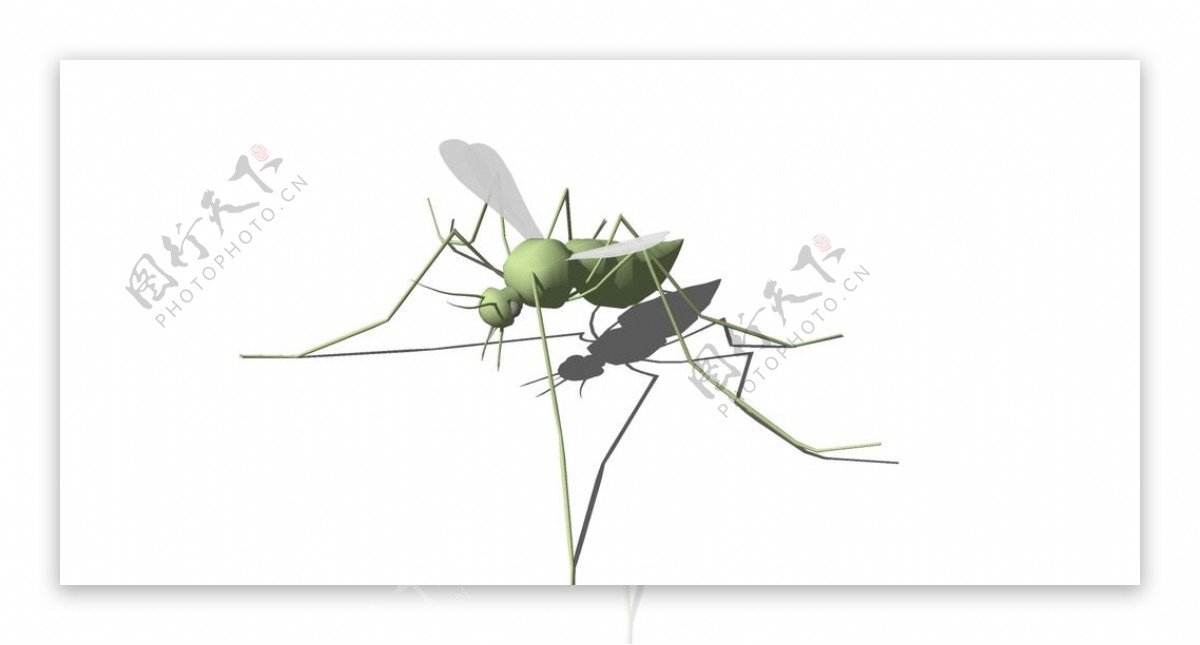 Sketchup蚊子3D原图
