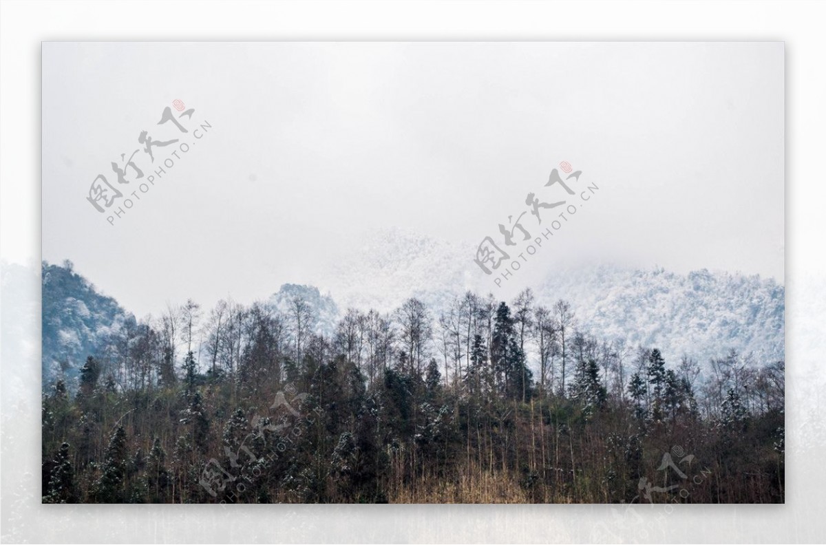 雪景