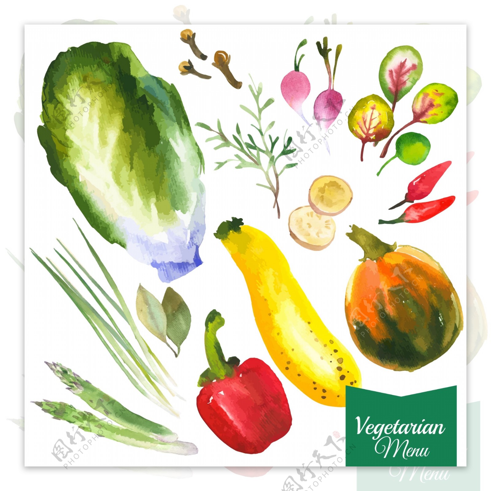 水彩绘新鲜蔬菜插画