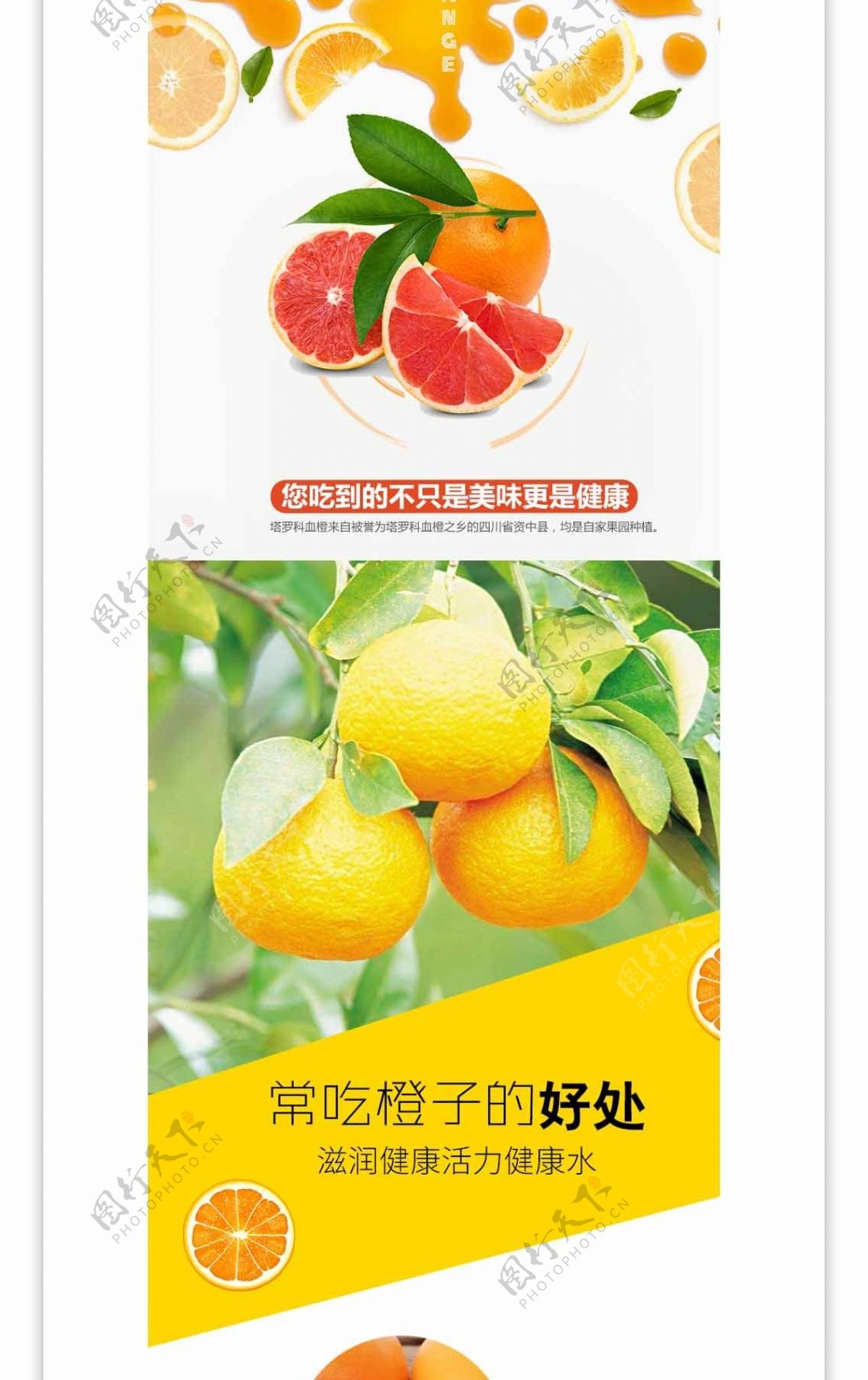 橙子鲜橙水果生鲜食品详情页PSD模板
