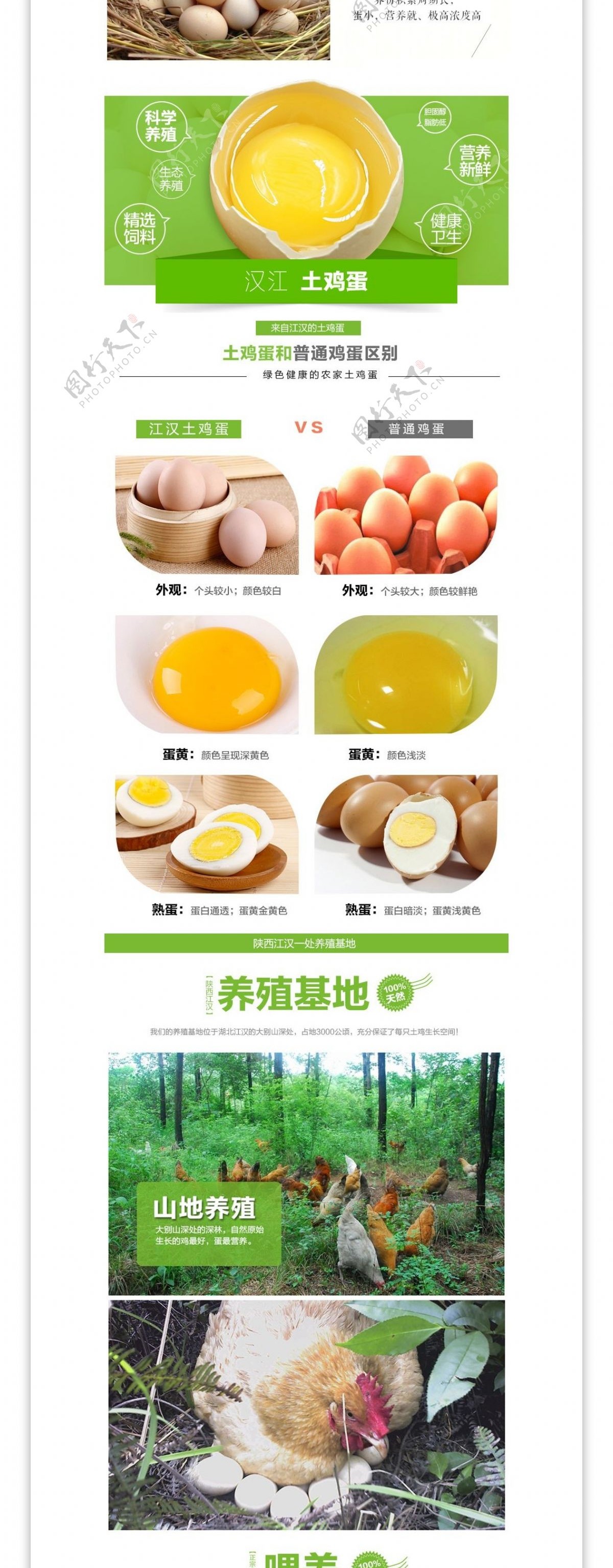农产品土鸡蛋详情页模板