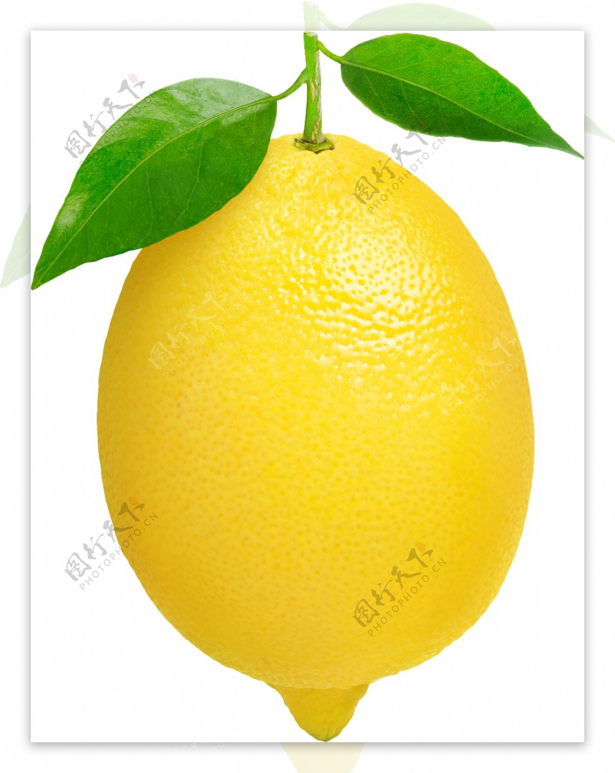 一颗新鲜的柠檬透明装饰图片