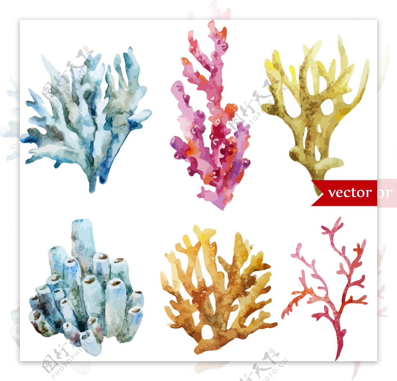 时尚水彩绘珊瑚插画