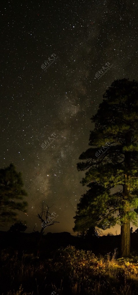 苹果壁纸苹果原画壁纸