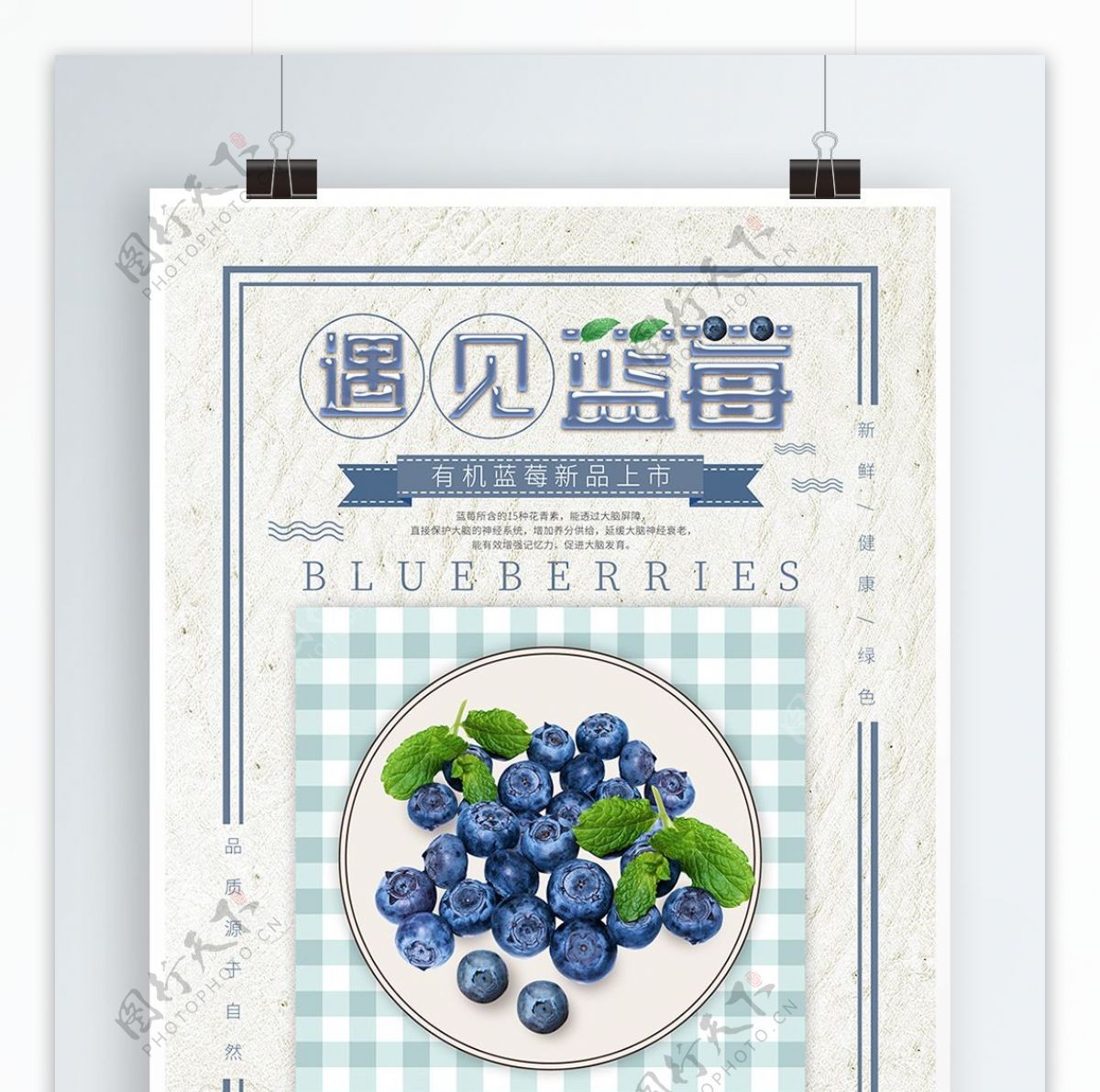 蓝色小清新创意蓝莓海报设计